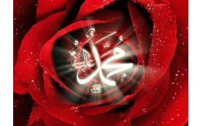 TANISAN SEVERSİN